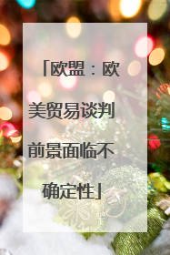 欧盟：欧美贸易谈判前景面临不确定性
