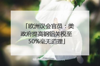 欧洲议会官员：美政府提高钢铝关税至50%毫无道理
