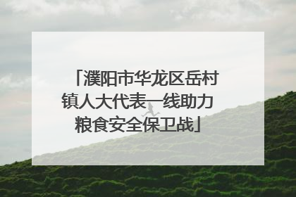 濮阳市华龙区岳村镇人大代表一线助力粮食安全保卫战