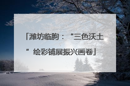 潍坊临朐：“三色沃土”绘彩铺展振兴画卷
