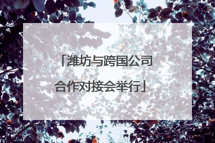 潍坊与跨国公司合作对接会举行