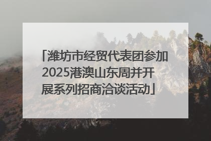 潍坊市经贸代表团参加2025港澳山东周并开展系列招商洽谈活动
