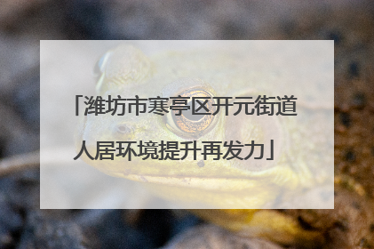 潍坊市寒亭区开元街道人居环境提升再发力