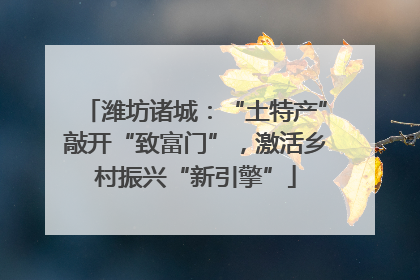 潍坊诸城：“土特产”敲开“致富门”，激活乡村振兴“新引擎”