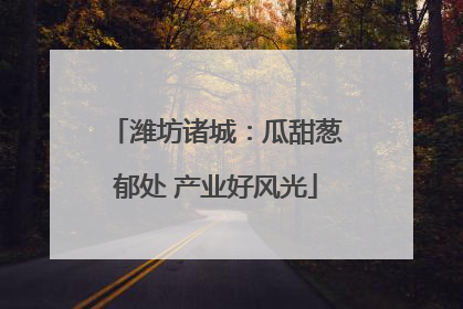 潍坊诸城：瓜甜葱郁处 产业好风光