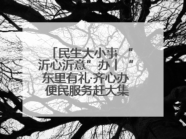 民生大小事 “沂心沂意”办丨“东里有礼·齐心办 便民服务赶大集”——淄博市沂源县开展民生政策宣传活动