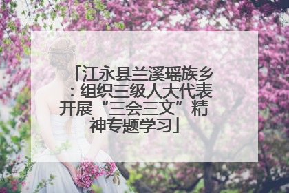 江永县兰溪瑶族乡：组织三级人大代表开展“三会三文”精神专题学习