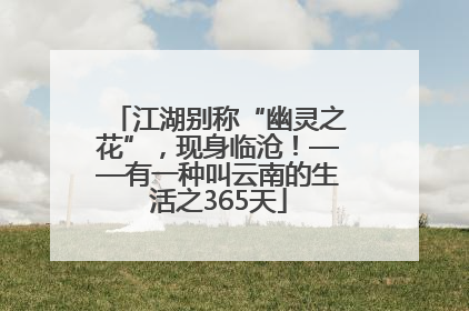 江湖别称“幽灵之花”，现身临沧！——有一种叫云南的生活之365天