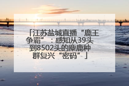 江苏盐城直播“鹿王争霸”：感知从39头到8502头的麋鹿种群复兴“密码”