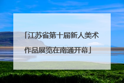 江苏省第十届新人美术作品展览在南通开幕