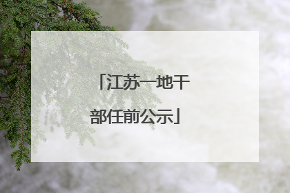 江苏一地干部任前公示