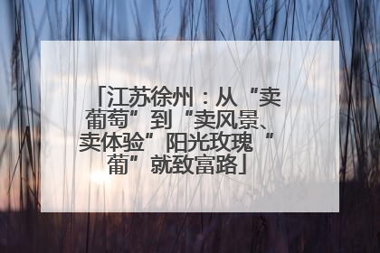 江苏徐州：从“卖葡萄”到“卖风景、卖体验”阳光玫瑰“葡”就致富路
