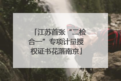 江苏首张“二检合一”专项计量授权证书花落南京