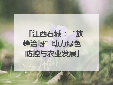江西石城：“放蜂治蚜”助力绿色防控与农业发展
