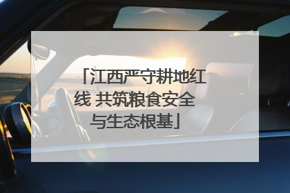 江西严守耕地红线 共筑粮食安全与生态根基