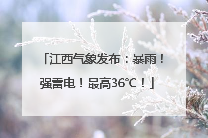 江西气象发布：暴雨！强雷电！最高36℃！