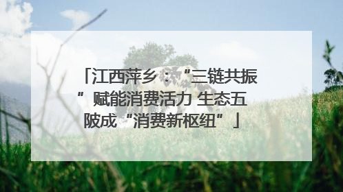 江西萍乡：“三链共振”赋能消费活力 生态五陂成“消费新枢纽”