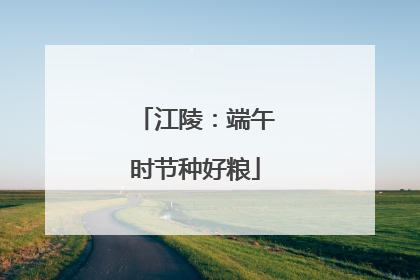 江陵：端午时节种好粮