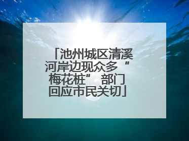 池州城区清溪河岸边现众多“梅花桩” 部门回应市民关切