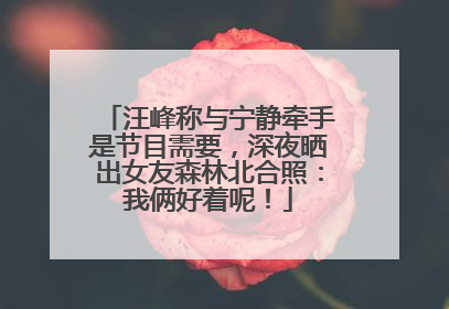 汪峰称与宁静牵手是节目需要，深夜晒出女友森林北合照：我俩好着呢！