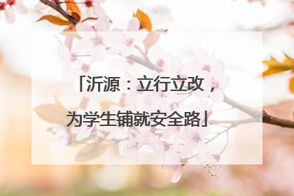沂源：立行立改，为学生铺就安全路