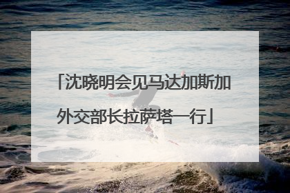 沈晓明会见马达加斯加外交部长拉萨塔一行