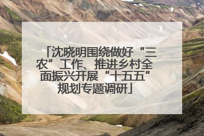 沈晓明围绕做好“三农”工作、推进乡村全面振兴开展“十五五”规划专题调研