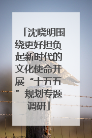沈晓明围绕更好担负起新时代的文化使命开展“十五五”规划专题调研