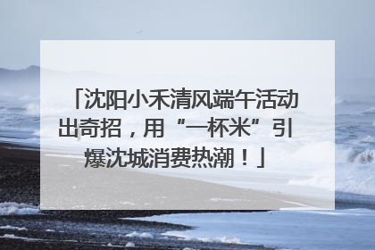 沈阳小禾清风端午活动出奇招，用“一杯米”引爆沈城消费热潮！