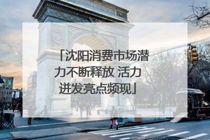 沈阳消费市场潜力不断释放 活力迸发亮点频现