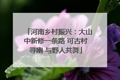 河南乡村振兴：大山中新修一条路 可古村寻幽 与野人共舞