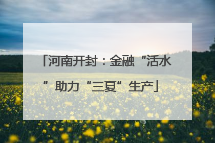 河南开封：金融“活水”助力“三夏”生产