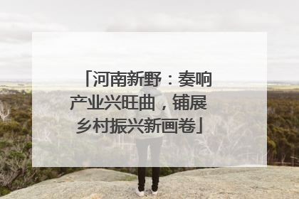 河南新野：奏响产业兴旺曲，铺展乡村振兴新画卷