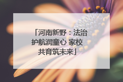 河南新野：法治护航润童心 家校共育筑未来