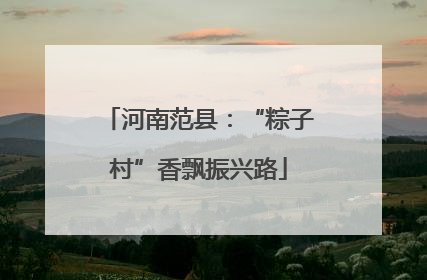 河南范县：“粽子村”香飘振兴路