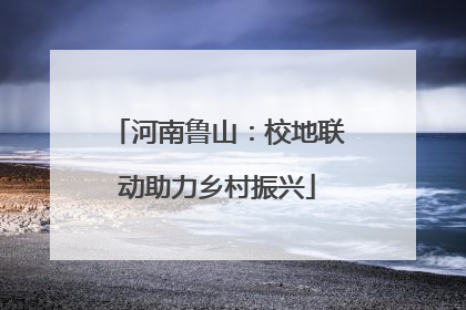 河南鲁山：校地联动助力乡村振兴