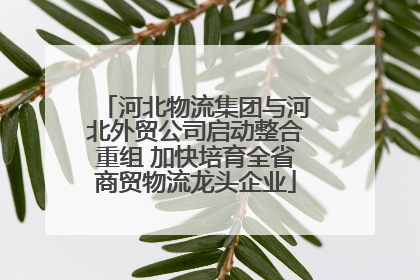 河北物流集团与河北外贸公司启动整合重组 加快培育全省商贸物流龙头企业