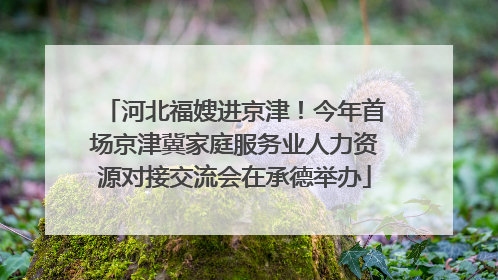 河北福嫂进京津！今年首场京津冀家庭服务业人力资源对接交流会在承德举办
