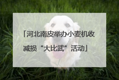河北南皮举办小麦机收减损“大比武”活动