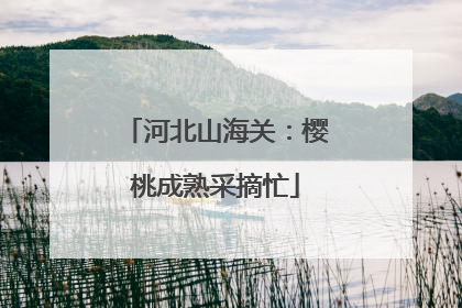 河北山海关：樱桃成熟采摘忙