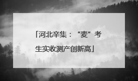 河北辛集：“麦”考生实收测产创新高