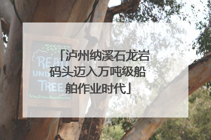 泸州纳溪石龙岩码头迈入万吨级船舶作业时代