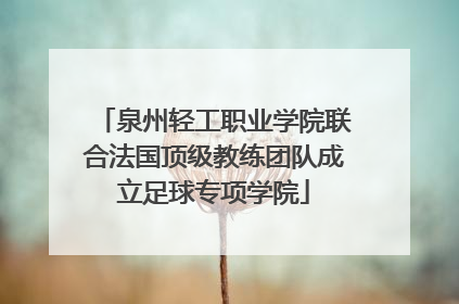 泉州轻工职业学院联合法国顶级教练团队成立足球专项学院