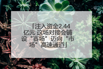 注入资金2.44亿元 这场对接会铺设“赛场”迈向“市场”高速通道