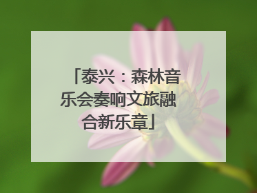 泰兴：森林音乐会奏响文旅融合新乐章