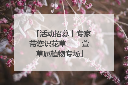 活动招募丨专家带您识花草——萱草属植物专场