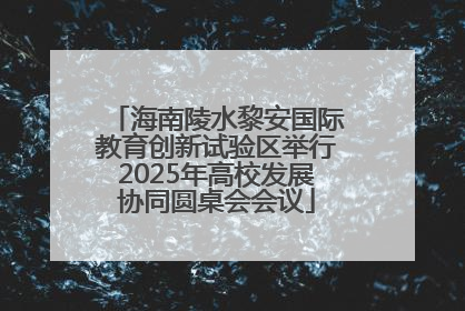 海南陵水黎安国际教育创新试验区举行2025年高校发展协同圆桌会会议