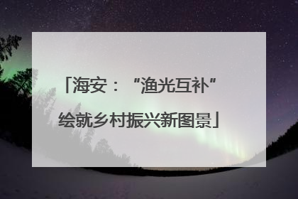 海安：“渔光互补” 绘就乡村振兴新图景