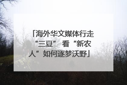 海外华文媒体行走“三夏” 看“新农人”如何逐梦沃野