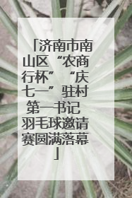 济南市南山区“农商行杯”“庆七一”驻村第一书记 羽毛球邀请赛圆满落幕